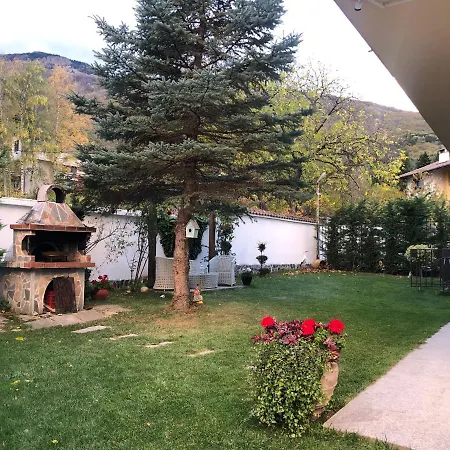Alina