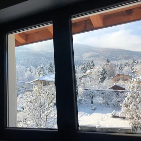 Alina Guest house