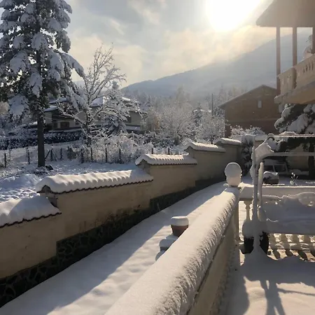 Alina Guest house 3*