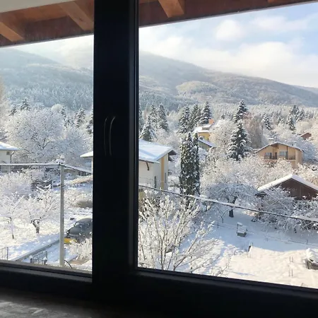 Guest house Alina 3*